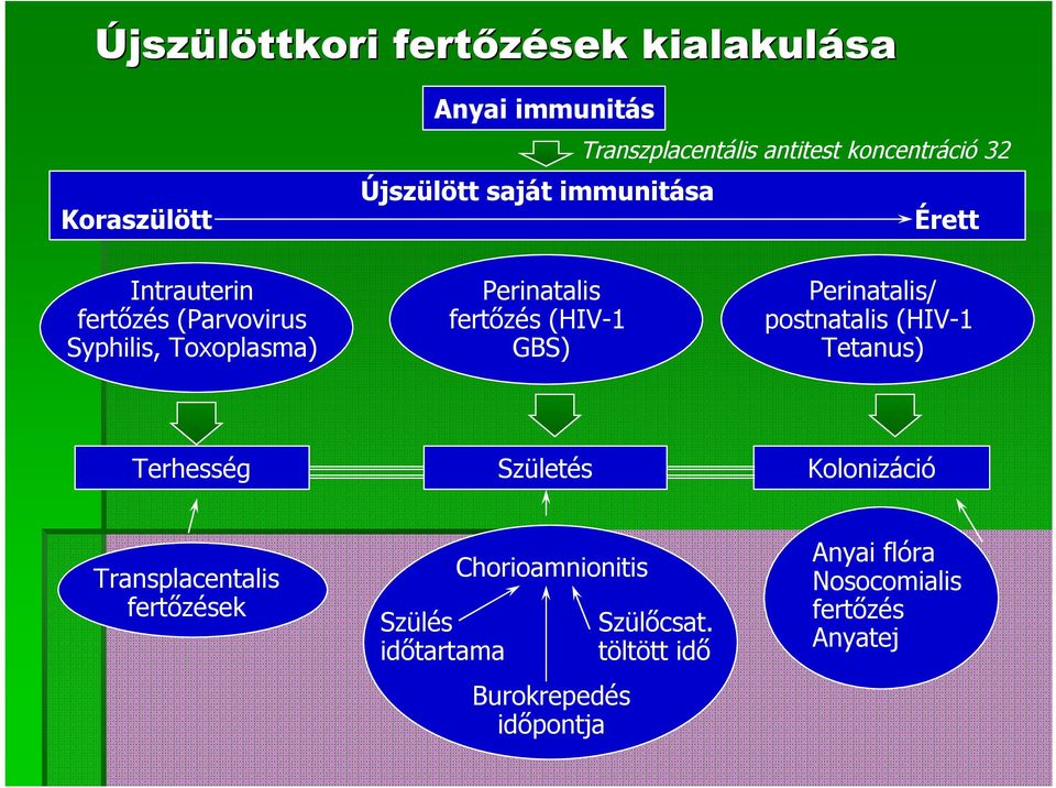 (HIV-1 GBS) Perinatalis/ postnatalis (HIV-1 Tetanus) Terhesség Születés Kolonizáció Transplacentalis fertőzések