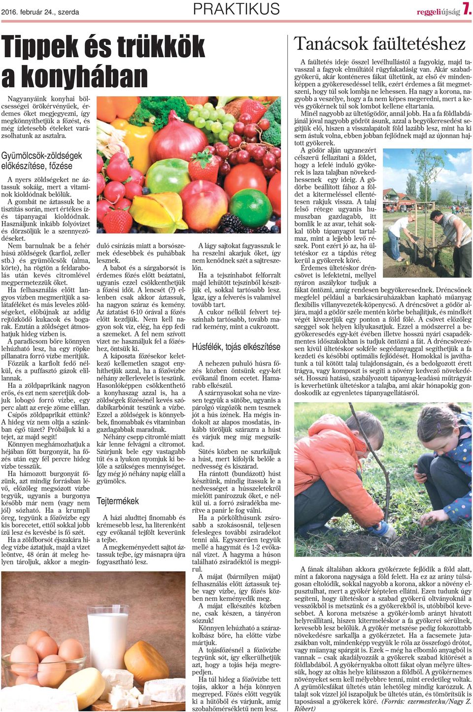 Gyümölcsök-zöldségek elõkészítése, fõzése A nyers zöldségeket ne áztassuk sokáig, mert a vitaminok kioldódnak belõlük.