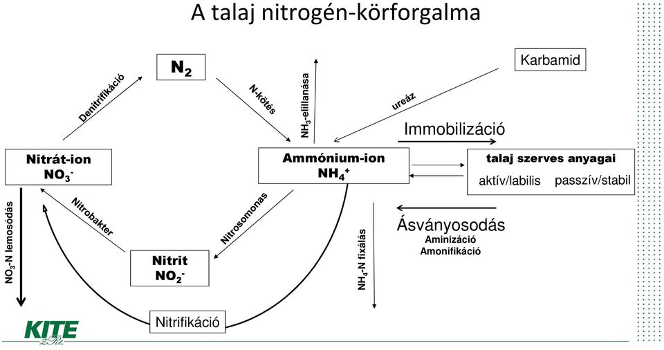 anyagai aktív/labilis passzív/stabil NO 3 -N lemosódás Nitrit NO