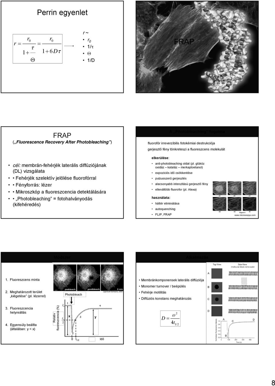 fén tönkretesi a fluorescens molekulát elkerülése: anti-photobleaching oldat (pl.