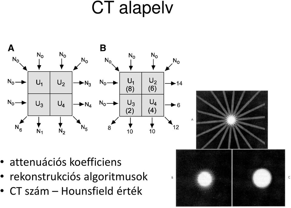 koefficiens