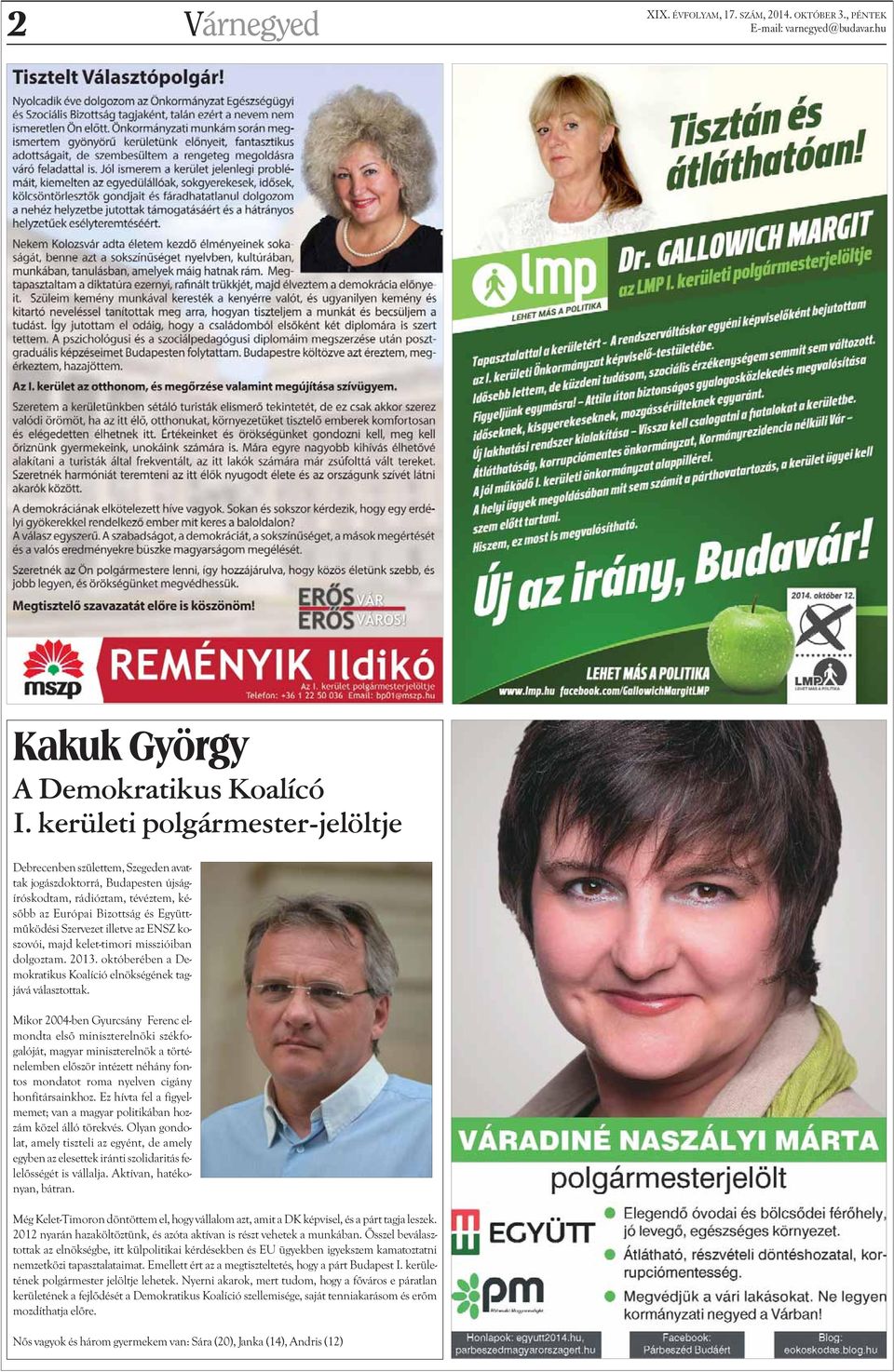 az ENSZ koszovói, majd kelet-timori misszióiban dolgoztam. 2013. októberében a Demokratikus Koalíció elnökségének tagjává választottak.