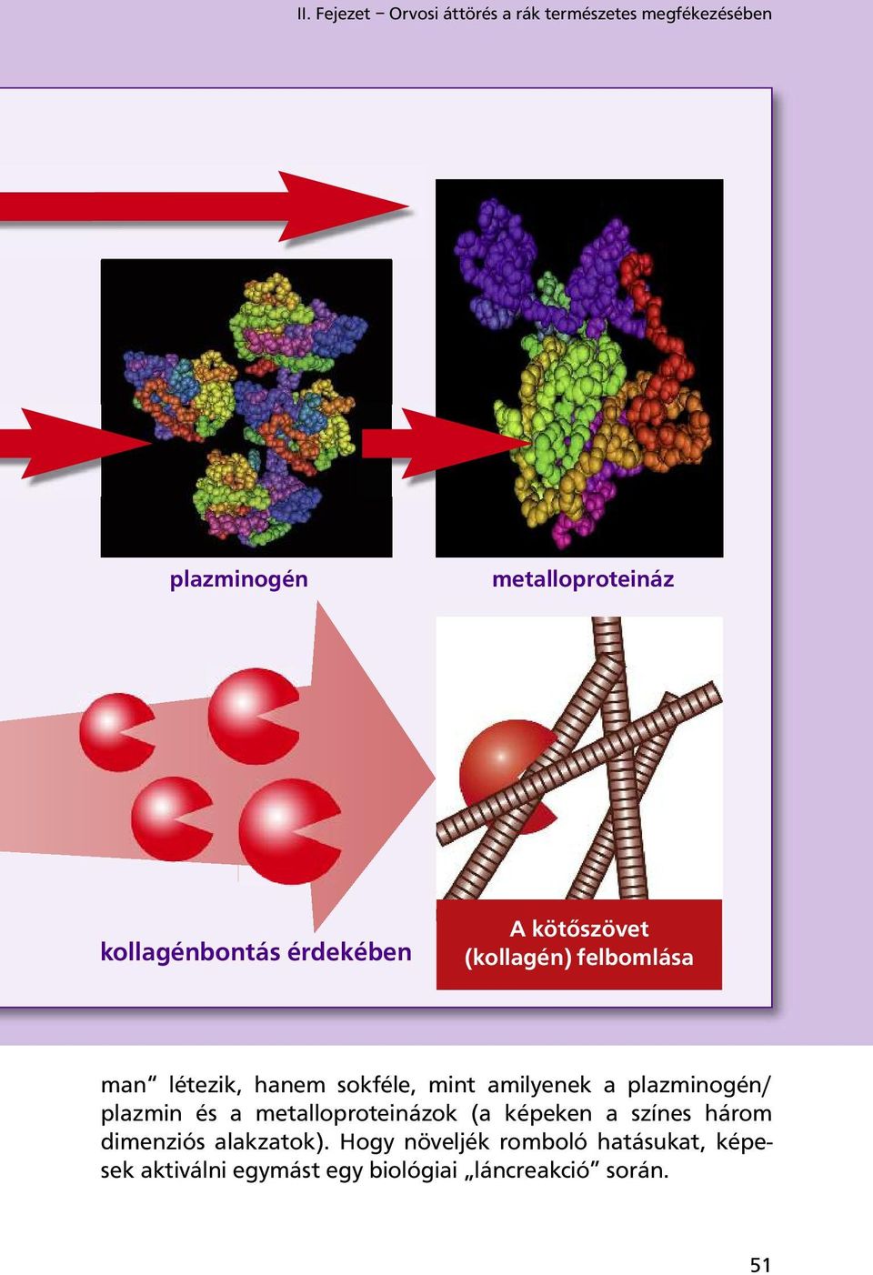 amilyenek a plazminogén/ plazmin és a metalloproteinázok (a képeken a színes három dimenziós
