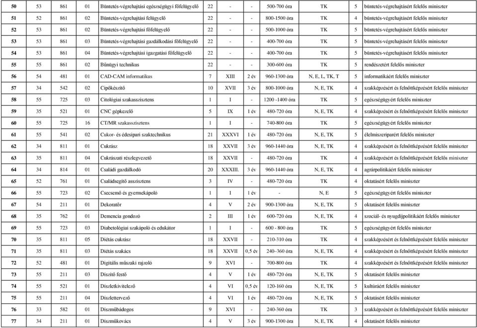 gazdálkodási főfelügyelő 22 - - 400-700 óra TK 5 büntetés-végrehajtásért felelős miniszter 54 53 861 04 Büntetés-végrehajtási igazgatási főfelügyelő 22 - - 400-700 óra TK 5 büntetés-végrehajtásért