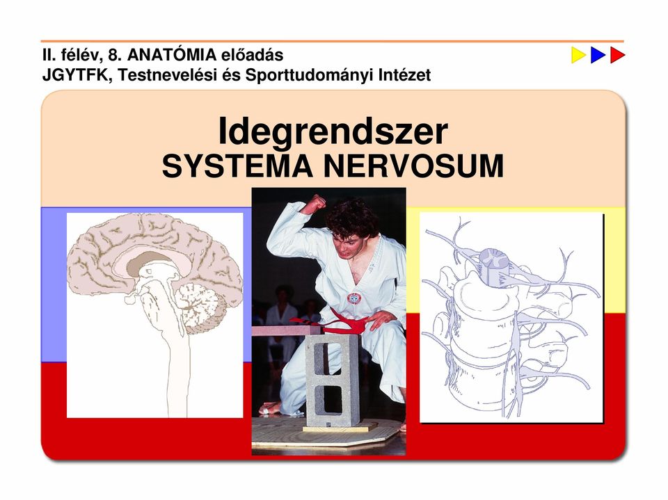 Testnevelési és