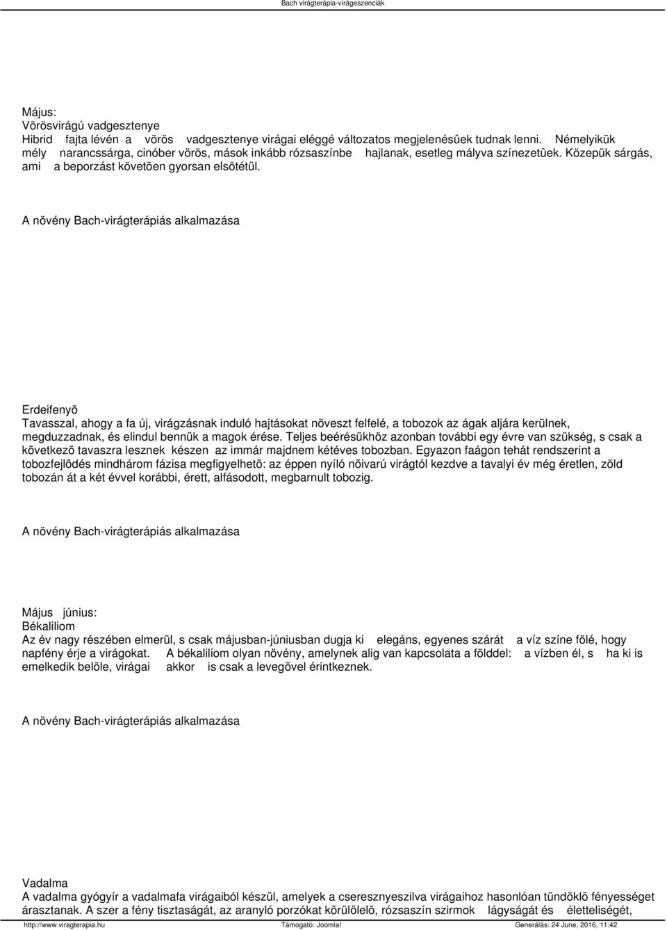 Erdeifenyõ Tavasszal, ahogy a fa új, virágzásnak induló hajtásokat növeszt felfelé, a tobozok az ágak aljára kerülnek, megduzzadnak, és elindul bennük a magok érése.