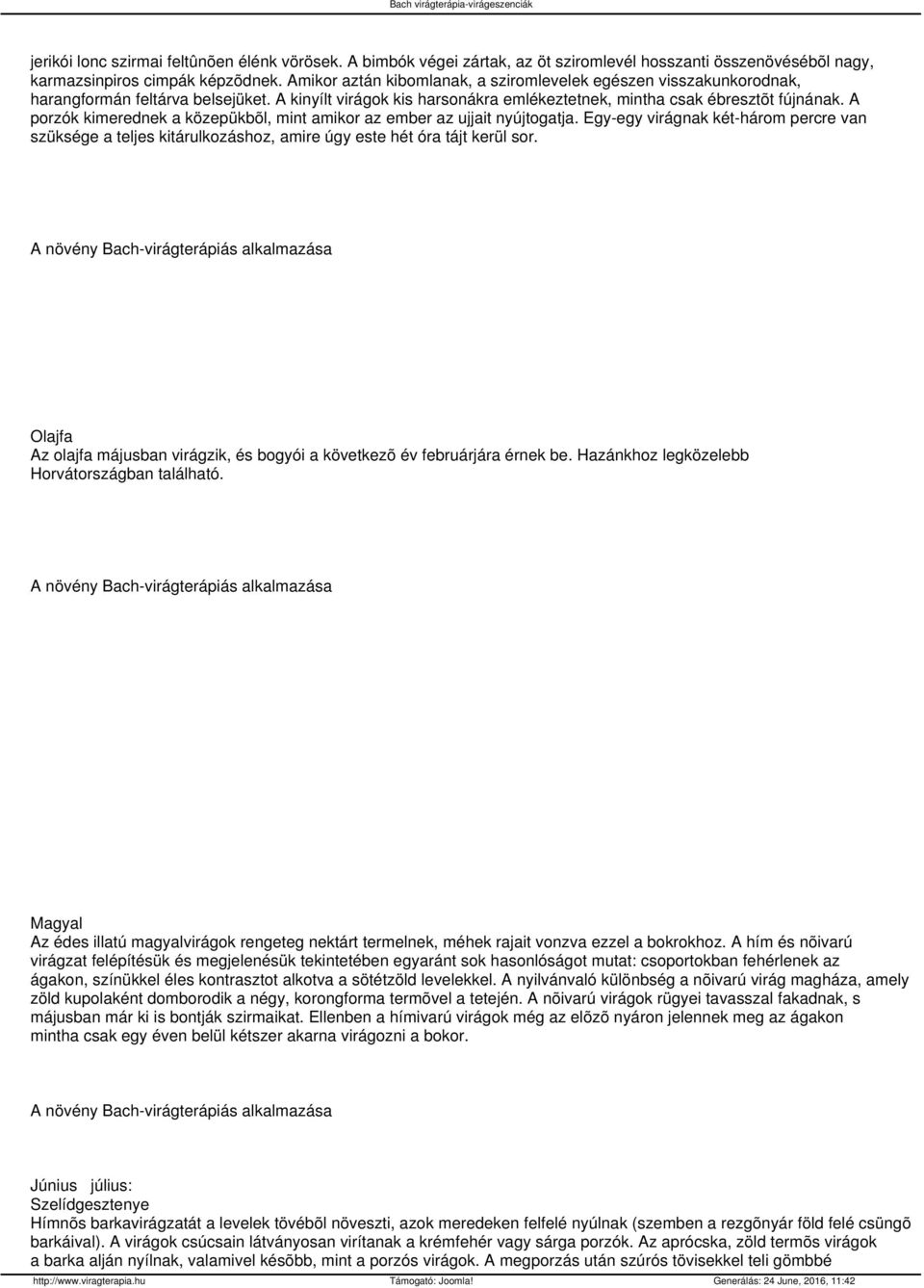 A porzók kimerednek a közepükbõl, mint amikor az ember az ujjait nyújtogatja. Egy-egy virágnak két-három percre van szüksége a teljes kitárulkozáshoz, amire úgy este hét óra tájt kerül sor.