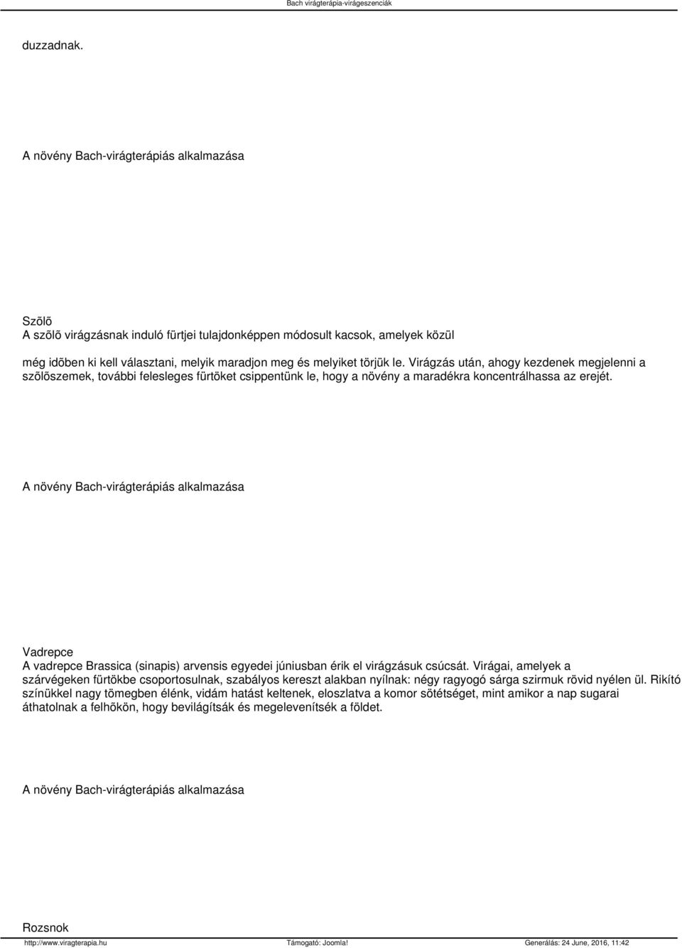 Vadrepce A vadrepce Brassica (sinapis) arvensis egyedei júniusban érik el virágzásuk csúcsát.