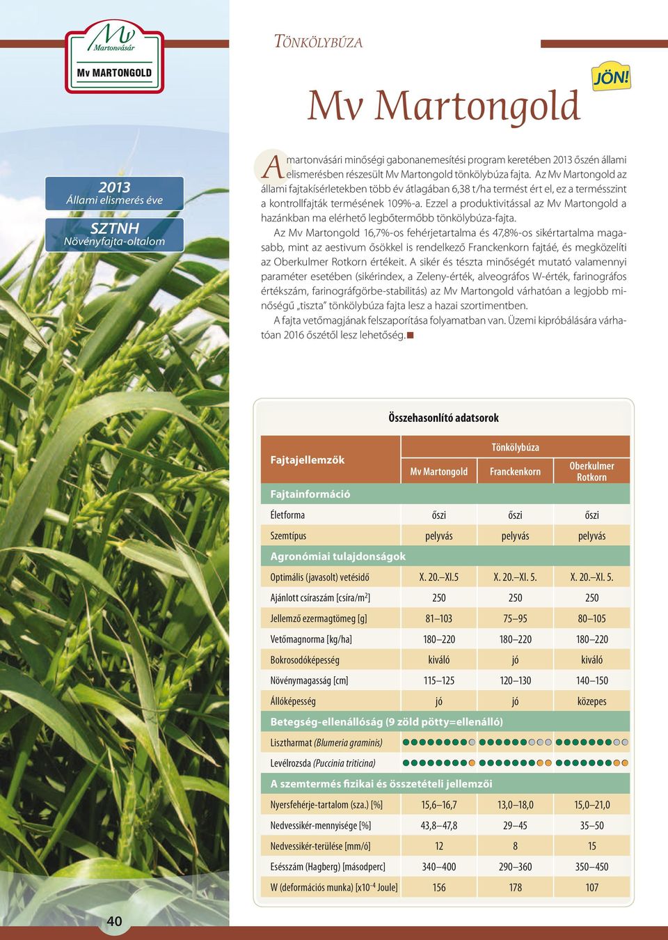 Ezzel a produktivitással az Mv Martongold a hazánkban ma elérhető legbőtermőbb tönkölybúza-fajta.