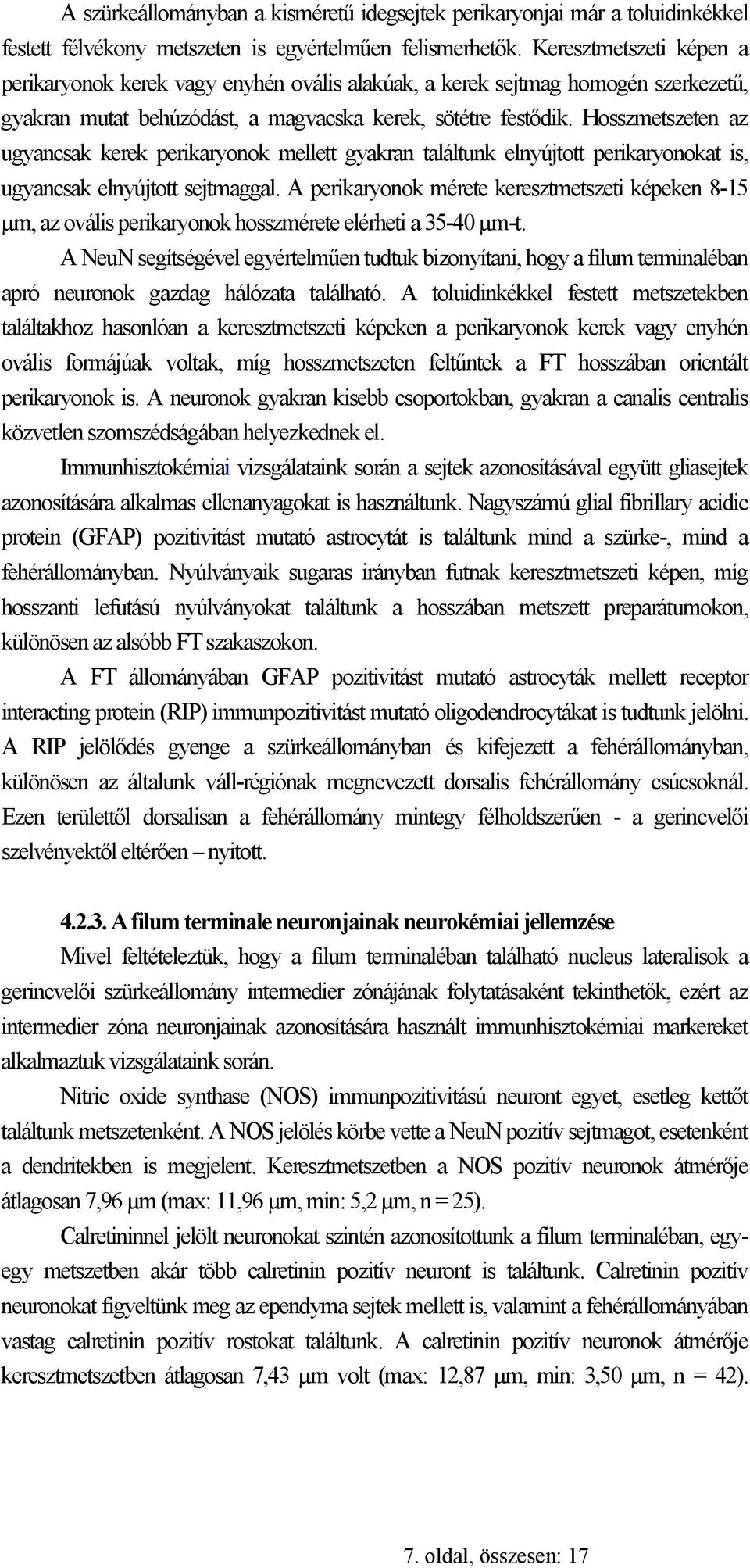 Hosszmetszeten az ugyancsak kerek perikaryonok mellett gyakran találtunk elnyújtott perikaryonokat is, ugyancsak elnyújtott sejtmaggal.