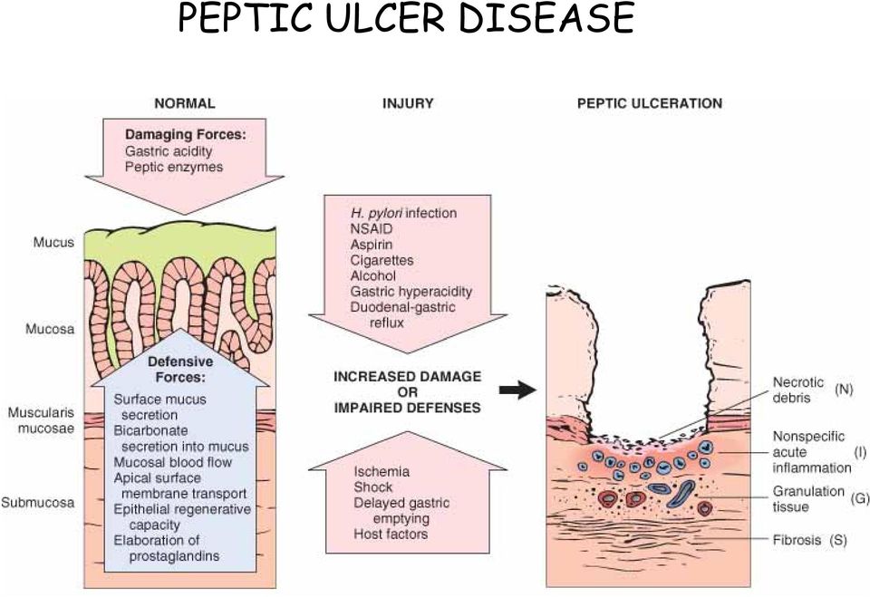 DISEASE 7