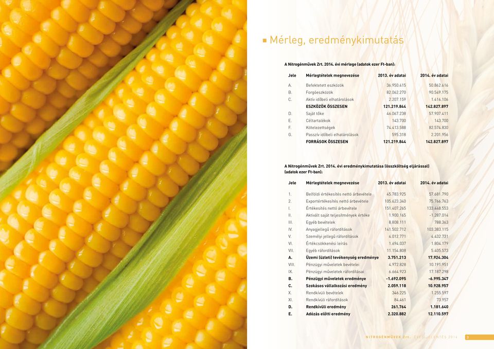 Kötelezettségek 74.413.588 82.574.830 G. Passzív időbeli elhatárolások 595.318 2.201.956 FORRÁSOK ÖSSZESEN 121.219.844 142.827.897 A Nitrogénművek Zrt. 2014.