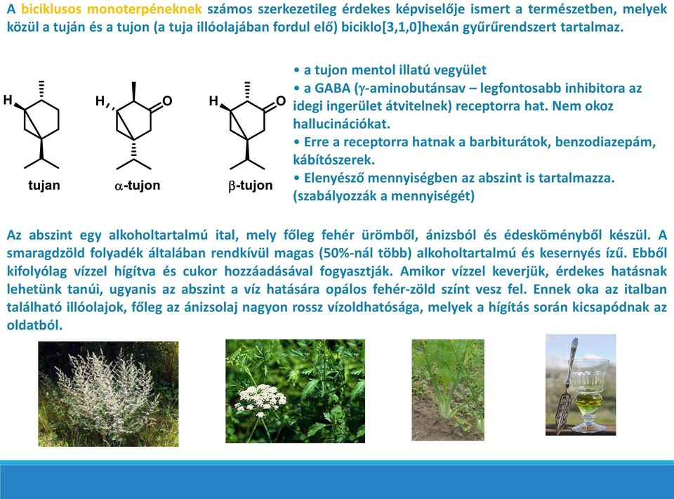 Erre a receptorra hatnak a barbiturátok, benzodiazepám, kábítószerek. Elenyésző mennyiségben az abszint is tartalmazza.