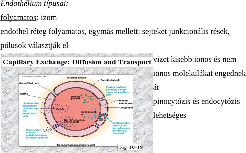 pólusok választják el vizet kisebb ionos és nem ionos