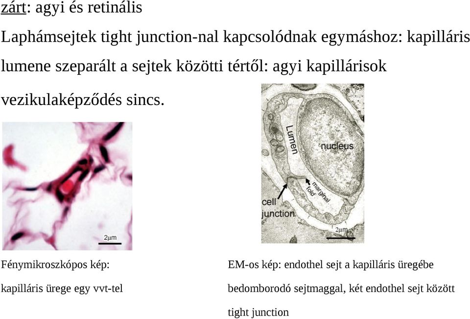vezikulaképződés sincs.