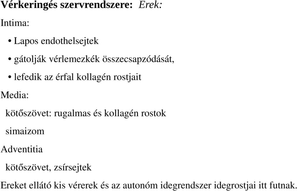 kötőszövet: rugalmas és kollagén rostok simaizom Adventitia kötőszövet,