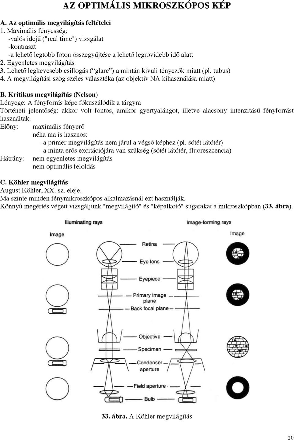 Lehető legkevesebb csillogás ( glare ) a mintán kívüli tényezők miatt (pl. tubus) 4. A megvilágítási szög széles választéka (az objektív NA kihasználása miatt) B.