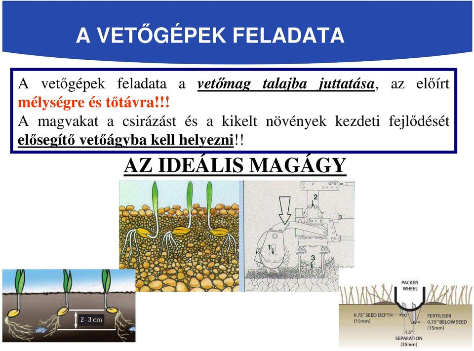 !! A magvakat a csirázást és a kikelt növények kezdeti