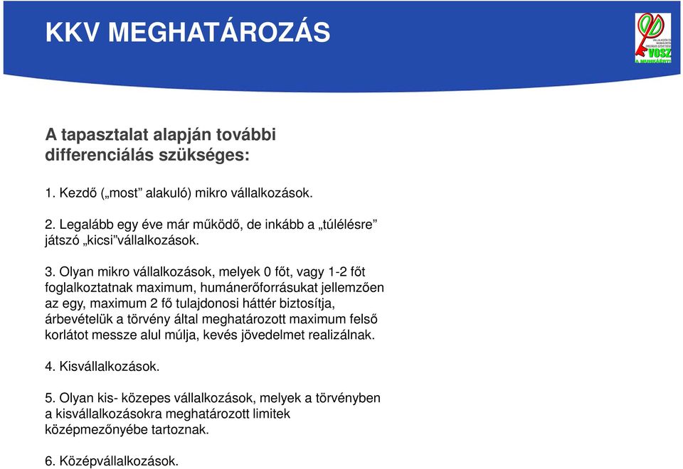 Olyan mikro vállalkozások, melyek 0 főt, vagy 1-2 főt foglalkoztatnak maximum, humánerőforrásukat jellemzően az egy, maximum 2 fő tulajdonosi háttér biztosítja,