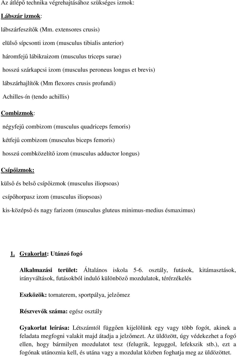 flexores crusis profundi) Achilles-ín (tendo achillis) Combizmok: négyfejű combizom (musculus quadriceps femoris) kétfejű combizom (musculus biceps femoris) hosszú combközelítő izom (musculus