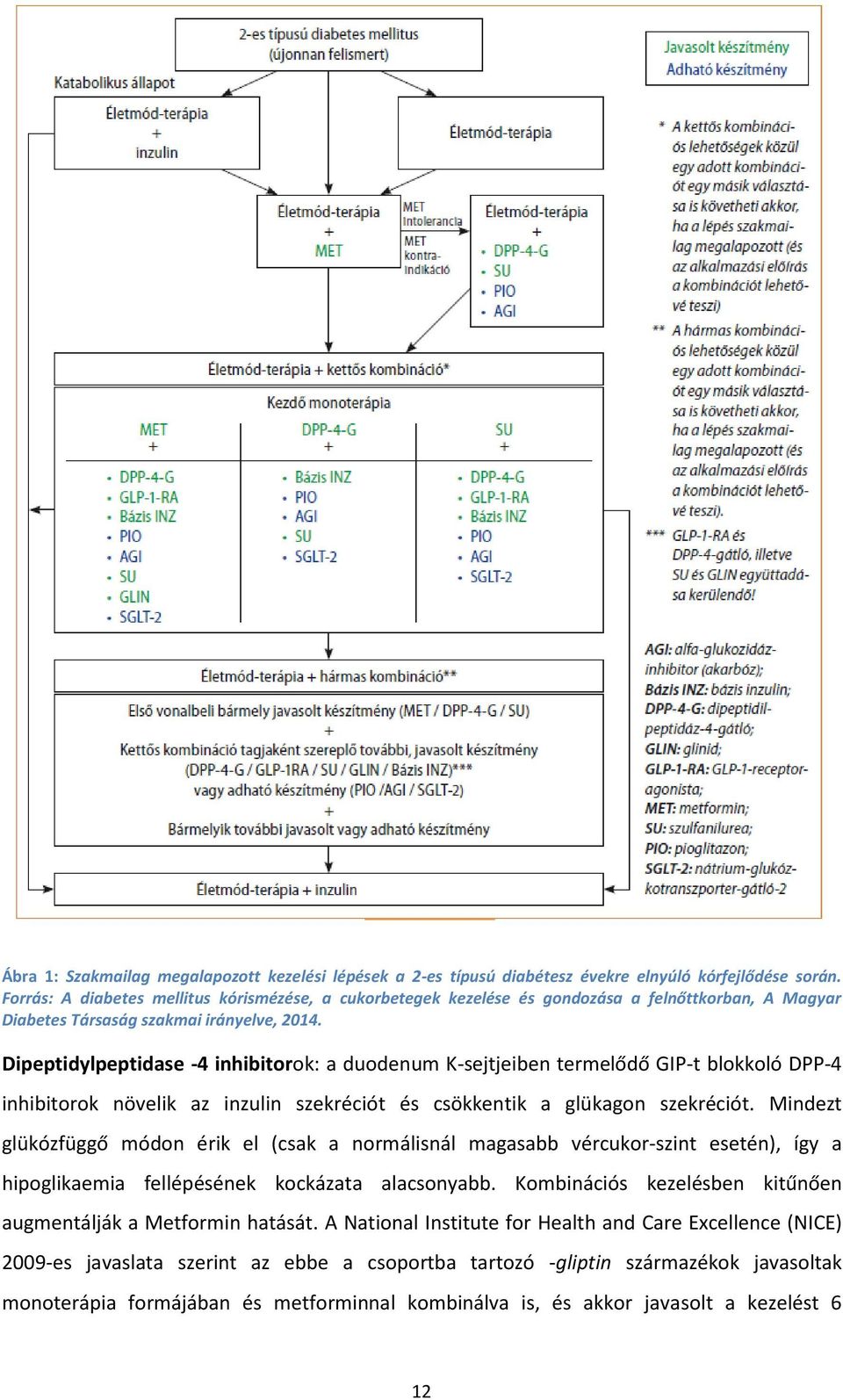 Dipeptidylpeptidase -4 inhibitorok: a duodenum K-sejtjeiben termelődő GIP-t blokkoló DPP-4 inhibitorok növelik az inzulin szekréciót és csökkentik a glükagon szekréciót.