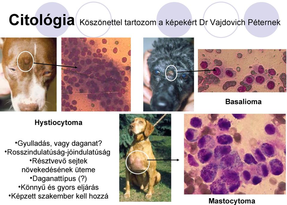 Rosszindulatúság-jóindulatúság Résztvevő sejtek növekedésének