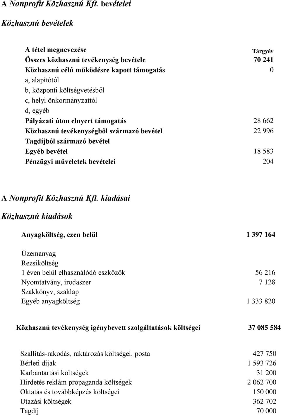 önkormányzattól d, egyéb Pályázati úton elnyert támogatás 28 662 Közhasznú tevékenységből származó bevétel 22 996 Tagdíjból származó bevétel Egyéb bevétel 18 583 Pénzügyi műveletek bevételei 204 