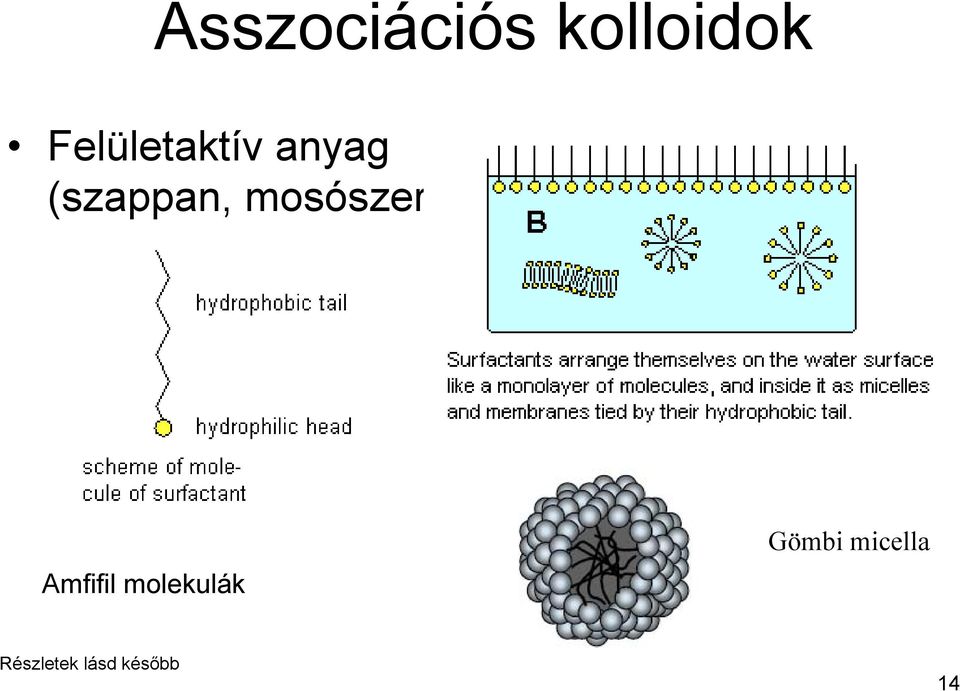 mosószer) Amfifil molekulák