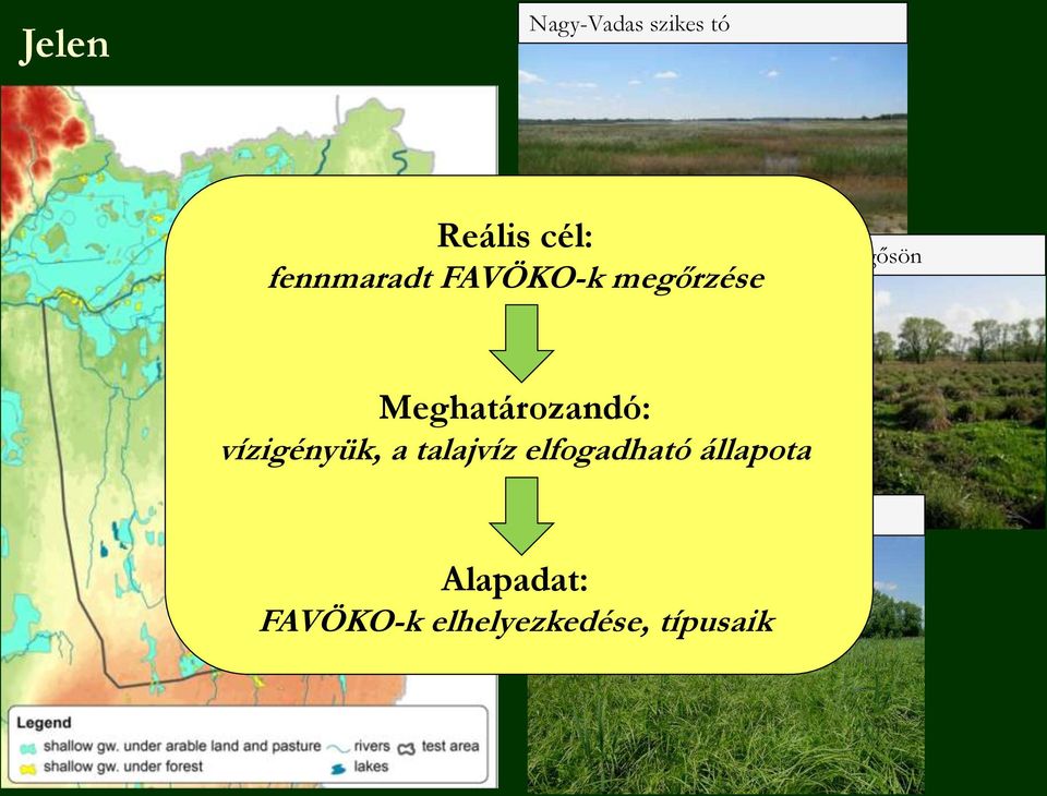 Meghatározandó: vízigényük, a talajvíz elfogadható