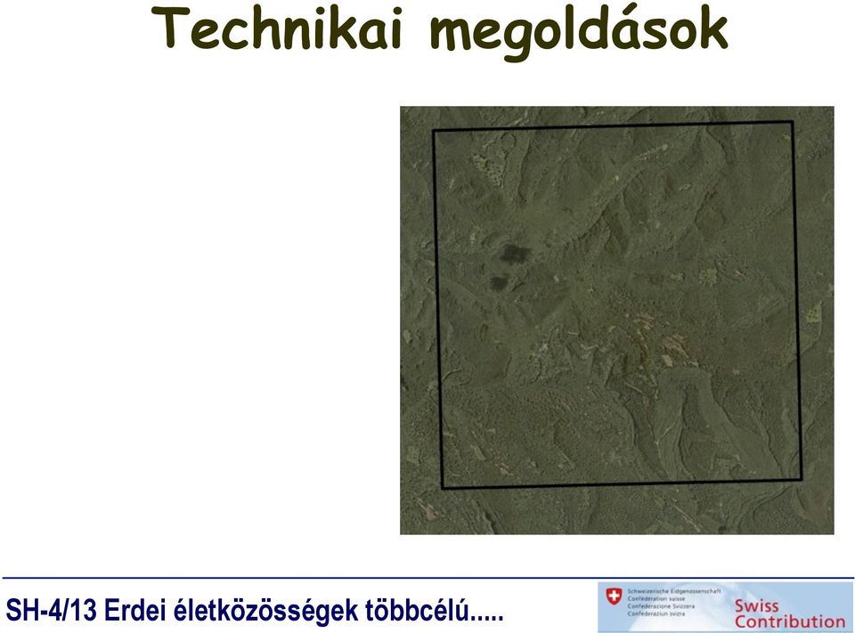 erdőszerkezet és működés különb9ző