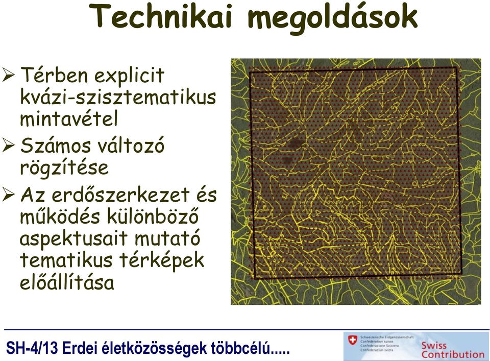 változó rögzítése Ø Az erdőszerkezet és