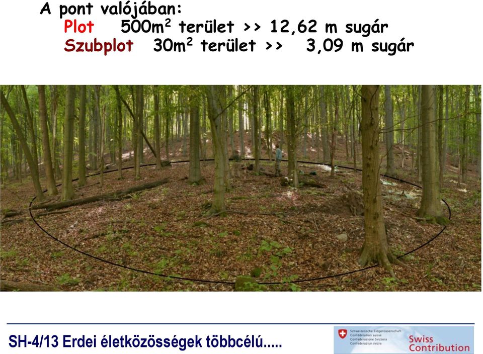 m sugár Szubplot 30m 2