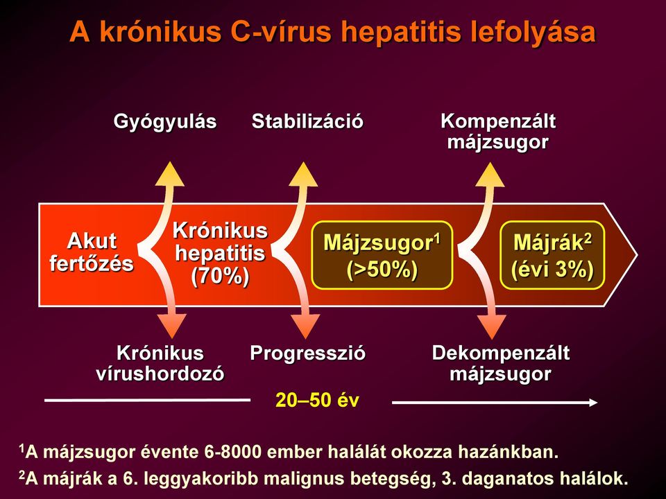 vírushordozó Progresszió 20 50 év Dekompenzált májzsugor 1 A májzsugor évente 6-8000