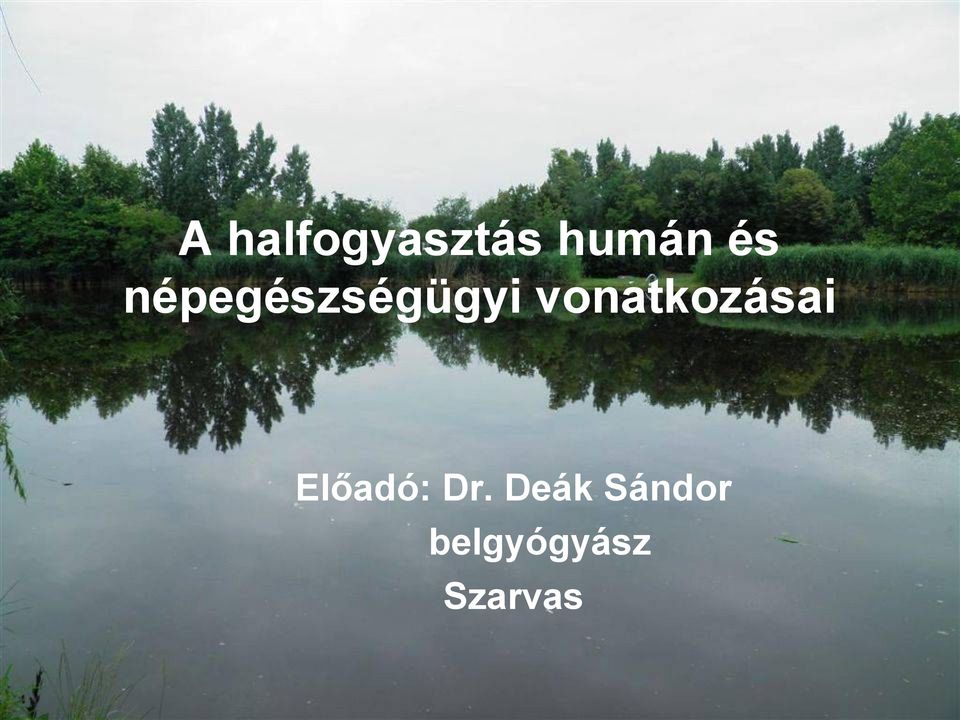 vonatkozásai Előadó: Dr.