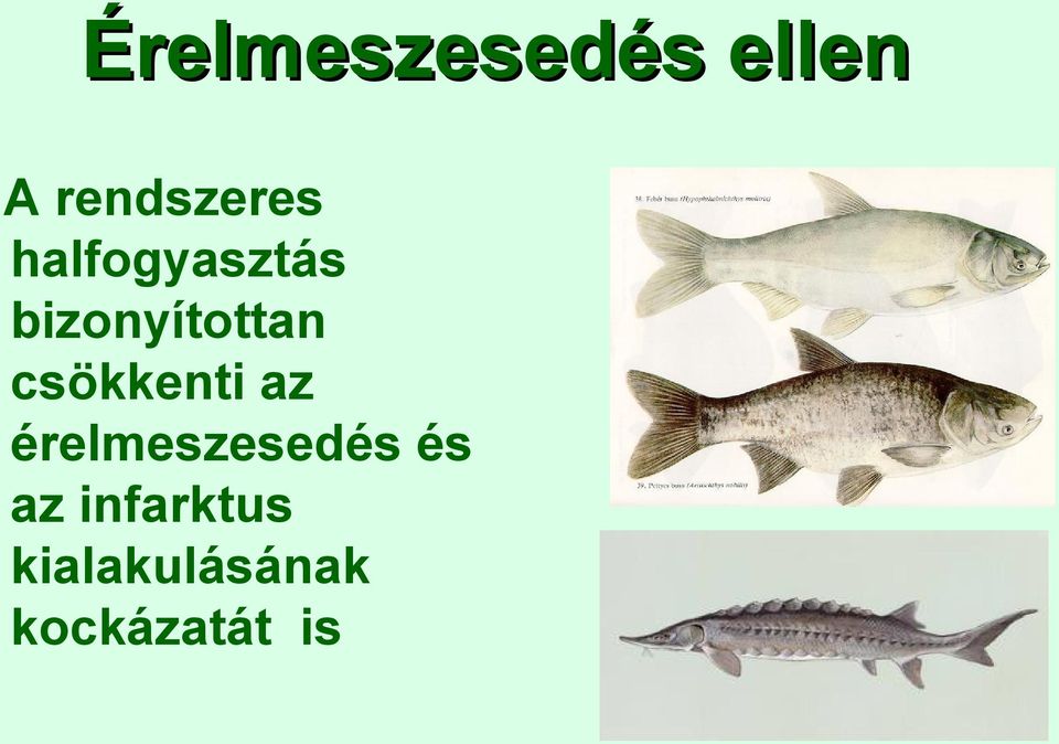 csökkenti az érelmeszesedés és az