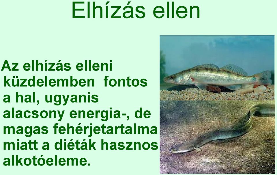 alacsony energia-, de magas