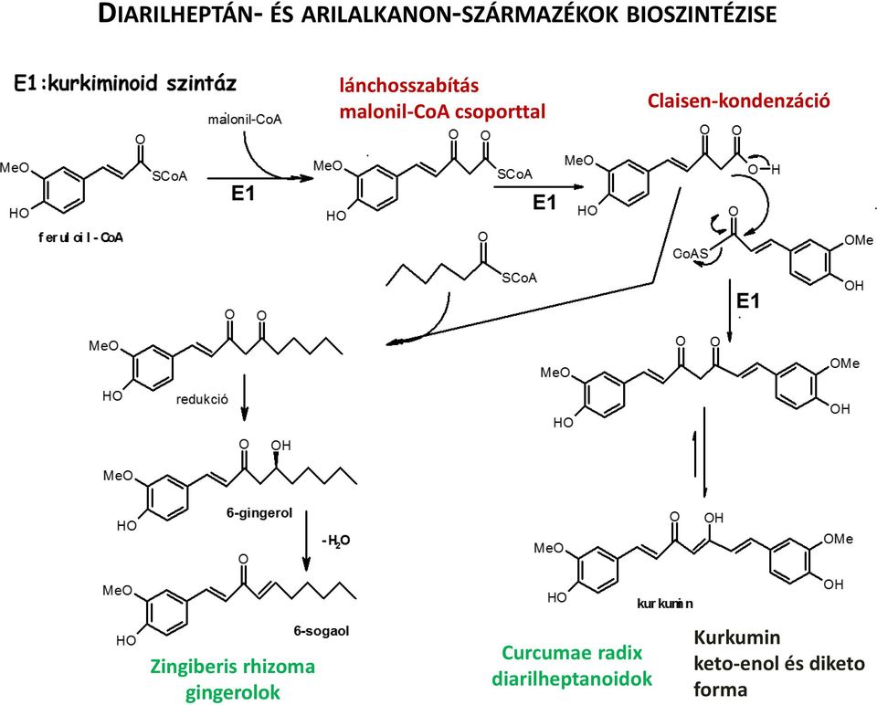 Claisen-kondenzáció Zingiberis rhizoma gingerolok