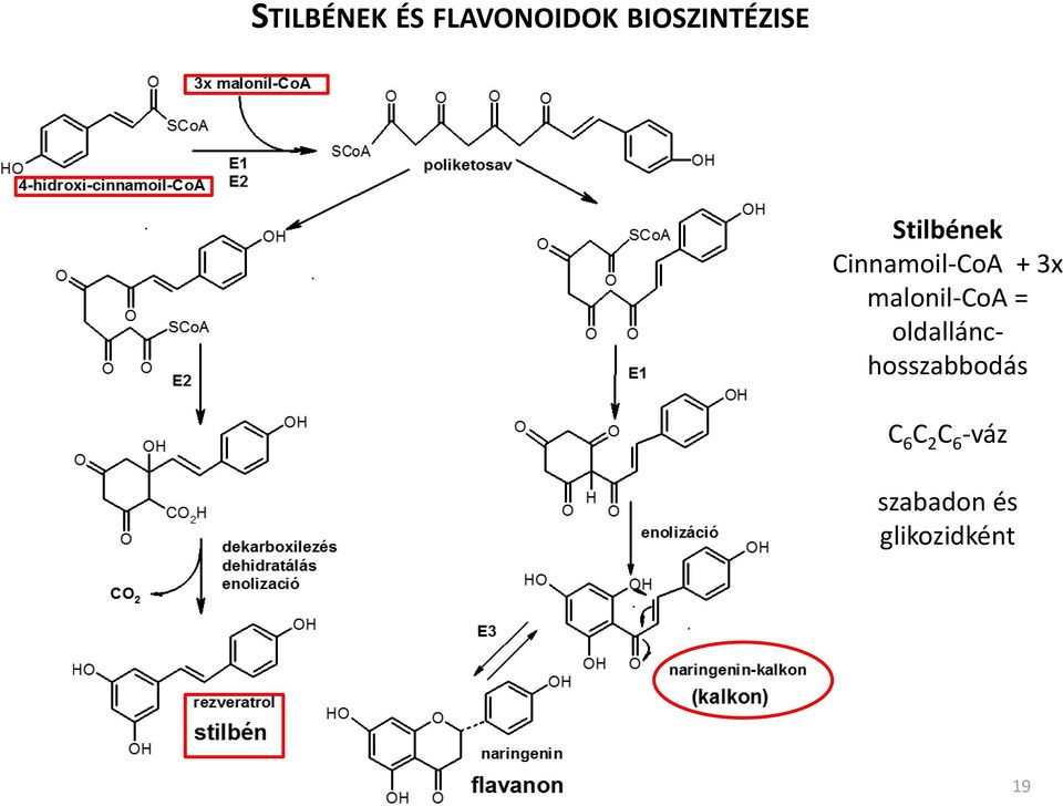 Cinnamoil-CoA + 3x malonil-coa =
