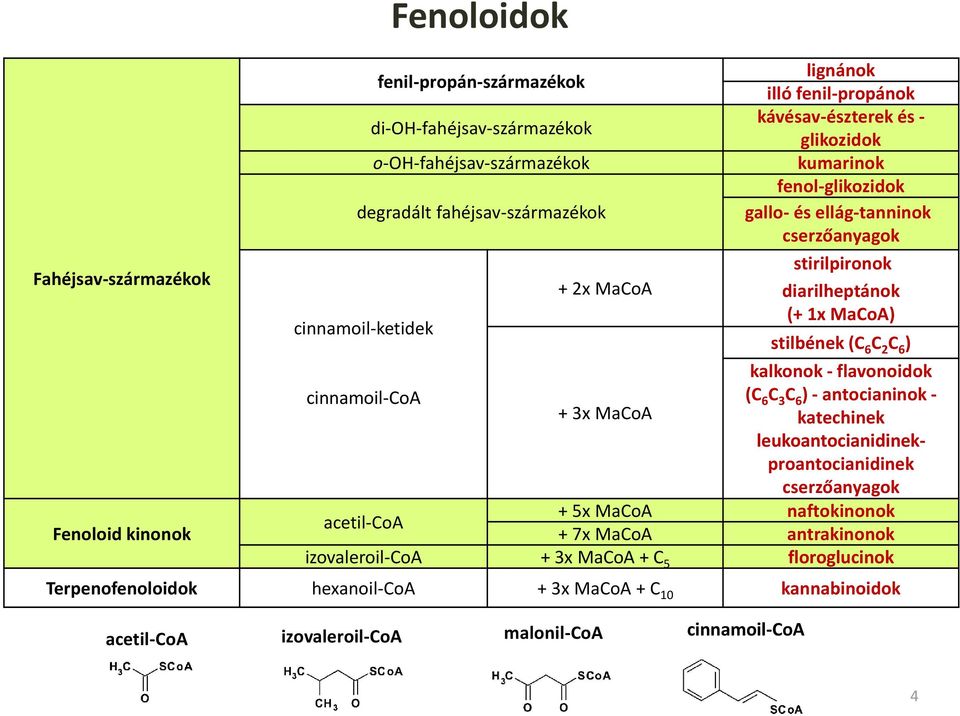 2 C 6 ) kalkonok - flavonoidok cinnamoil-coa (C 6 C 3 C 6 ) - antocianinok - + 3x MaCoA katechinek leukoantocianidinekproantocianidinek cserzőanyagok + 5x MaCoA naftokinonok acetil-coa +