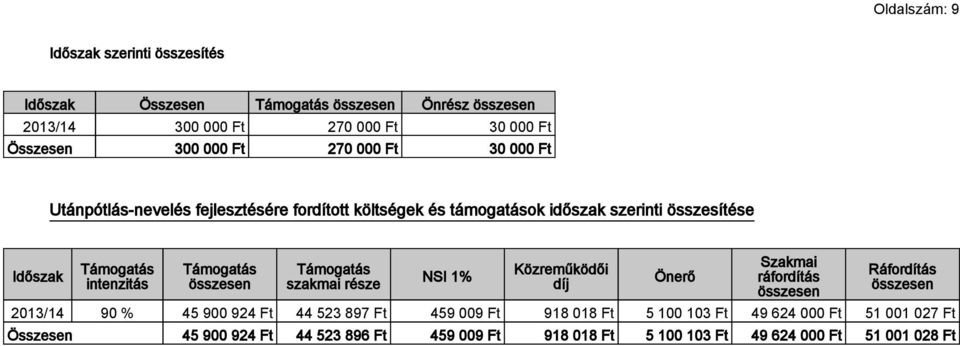 Támogatás szakmai része NSI 1% Közreműködői díj Önerő Szakmai ráfordítás Ráfordítás 2013/14 90 % 45 900 924 Ft 44 523 897 Ft 459 009 Ft
