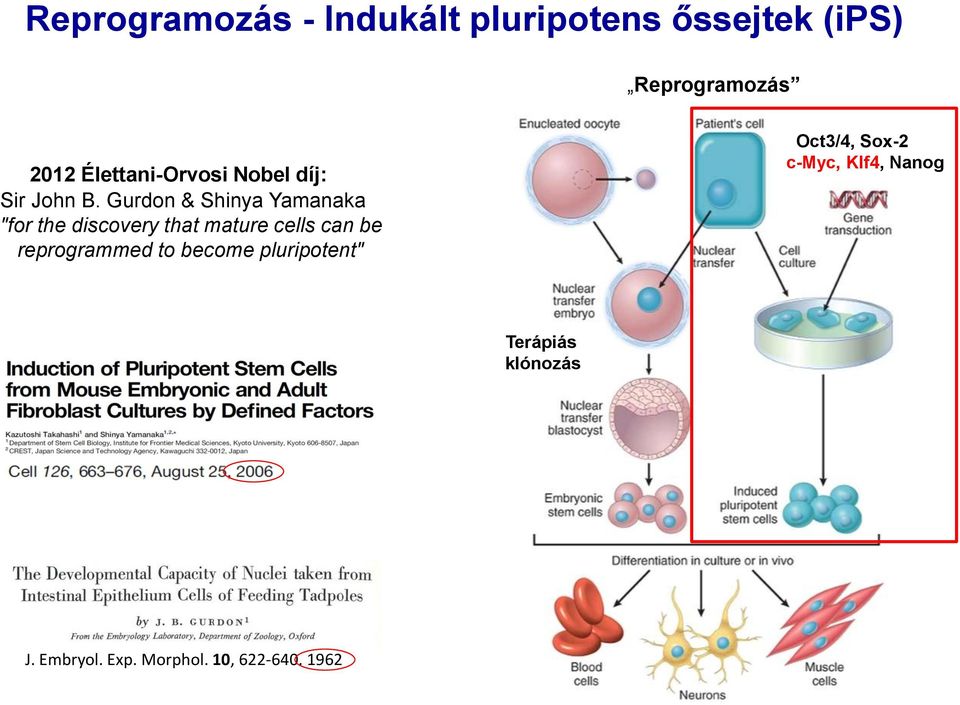 Gurdon & Shinya Yamanaka "for the discovery that mature cells can be