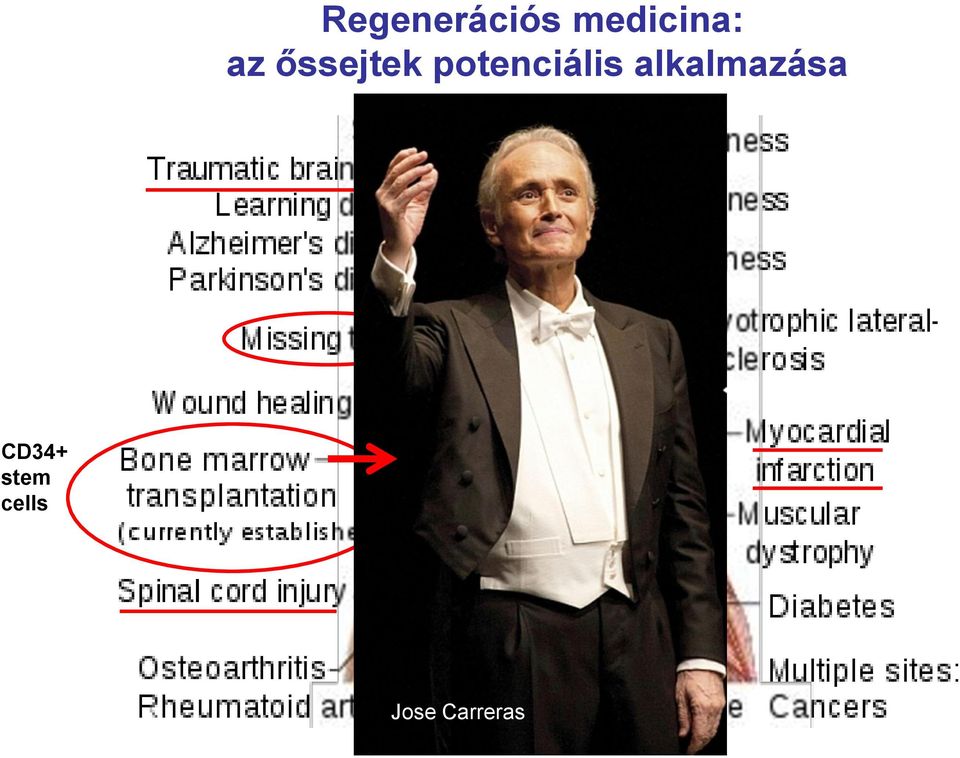 potenciális