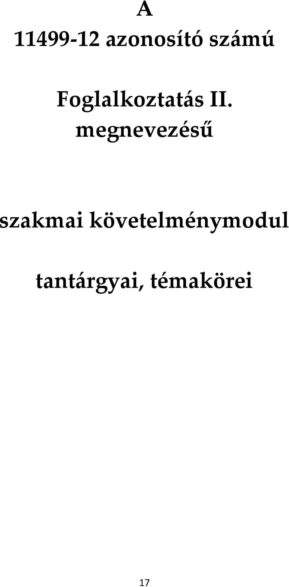 megnevezésű szakmai