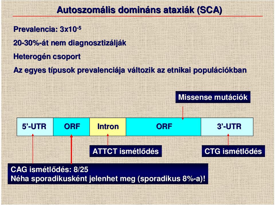 etnikai populáci ciókban Missense mutáci ciók 5 -UTR ORF Intron ORF 3 -UTR ATTCT ismétl