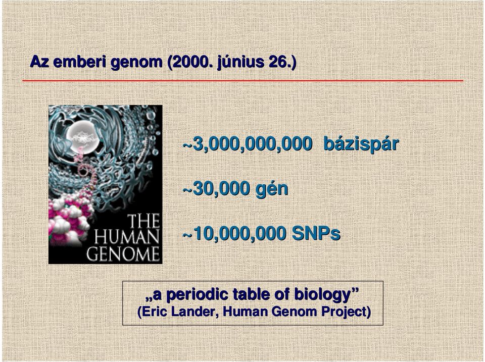 ~10,000,000 SNPs a periodic table of