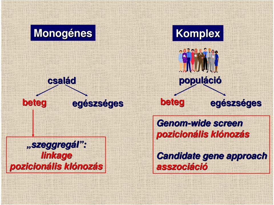 linkage pozicionális klónoz nozás Genom-wide screen