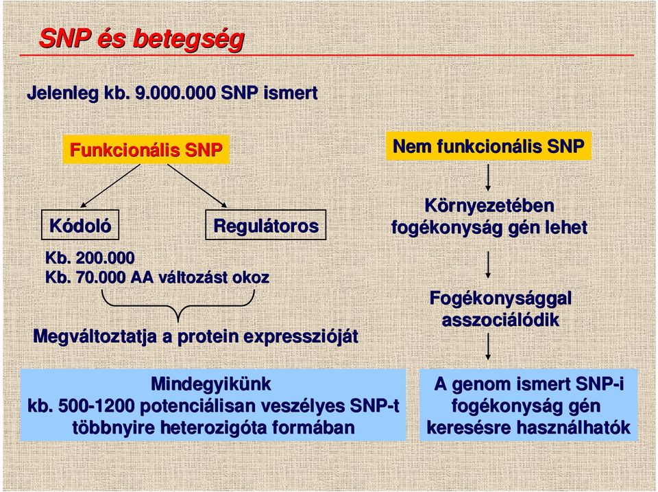 000 AA változv ltozást okoz Megváltoztatja a protein expresszióját Környezetében fogékonys konyság g gén g n