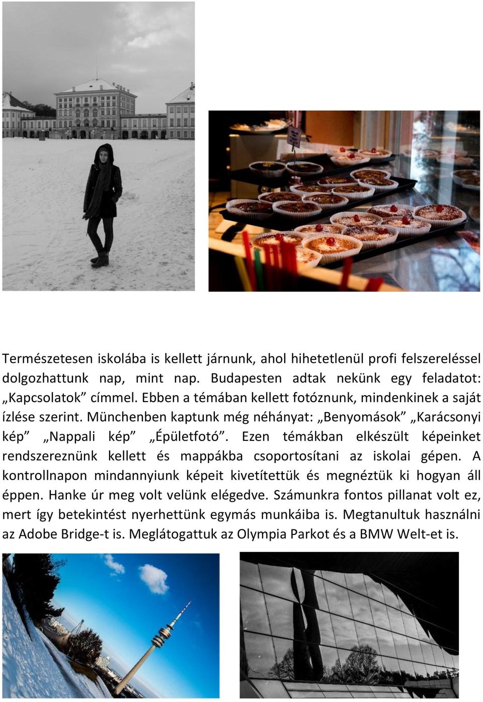Ezen témákban elkészült képeinket rendszereznünk kellett és mappákba csoportosítani az iskolai gépen.