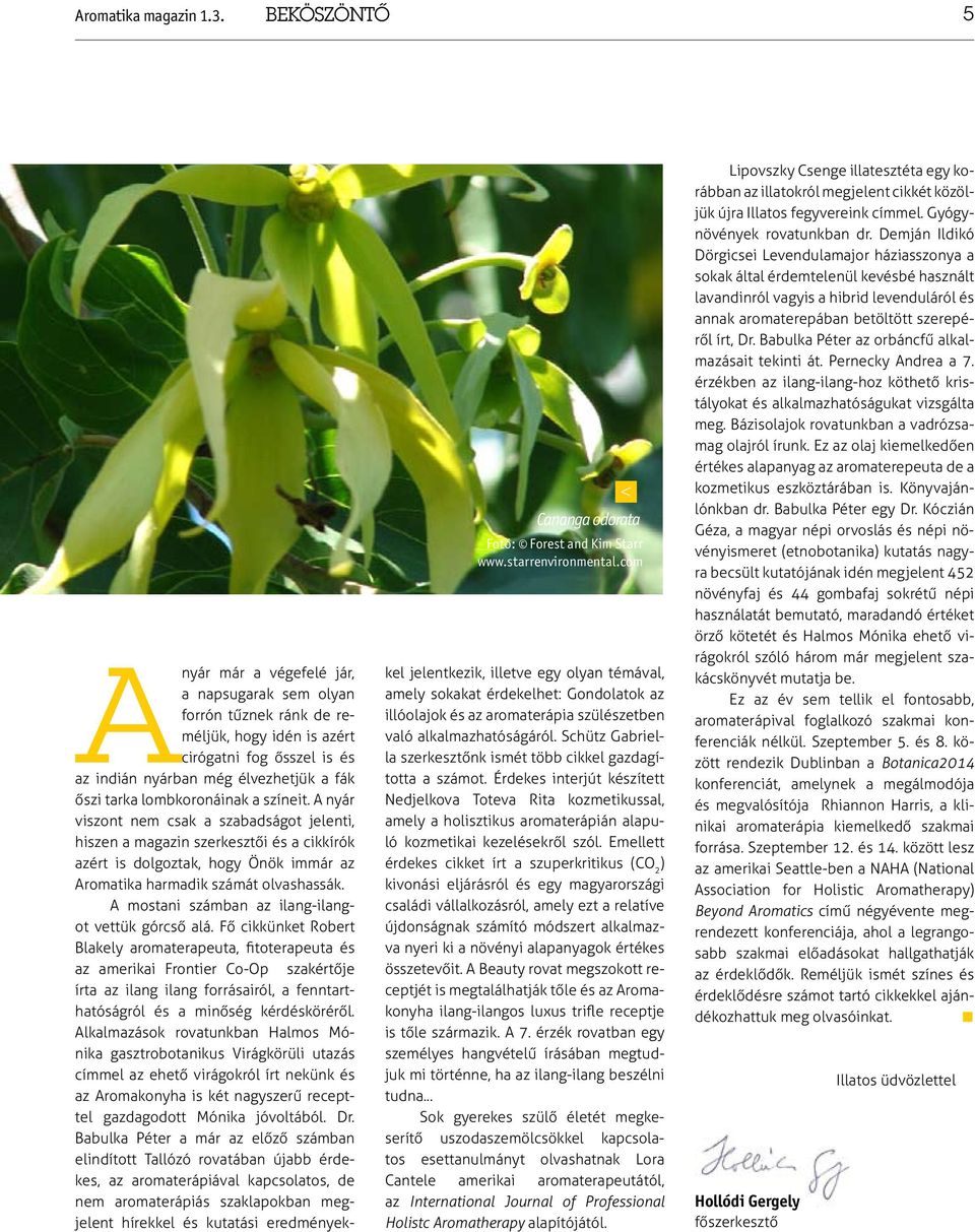 színeit. A nyár viszont nem csak a szabadságot jelenti, hiszen a magazin szerkesztői és a cikkírók azért is dolgoztak, hogy Önök immár az Aromatika harmadik számát olvashassák.
