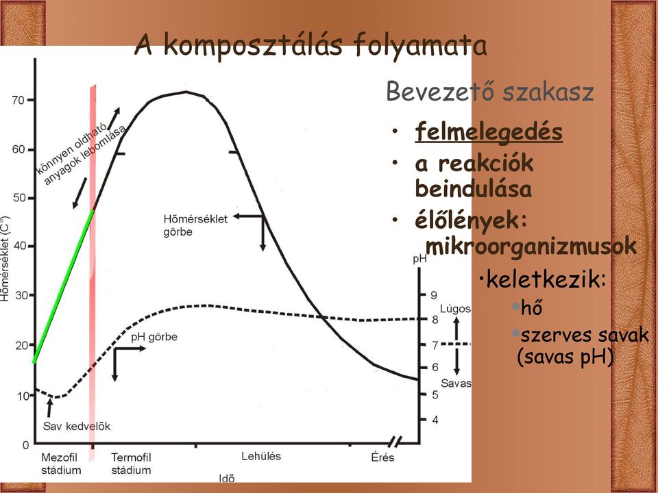 beindulása élőlények: